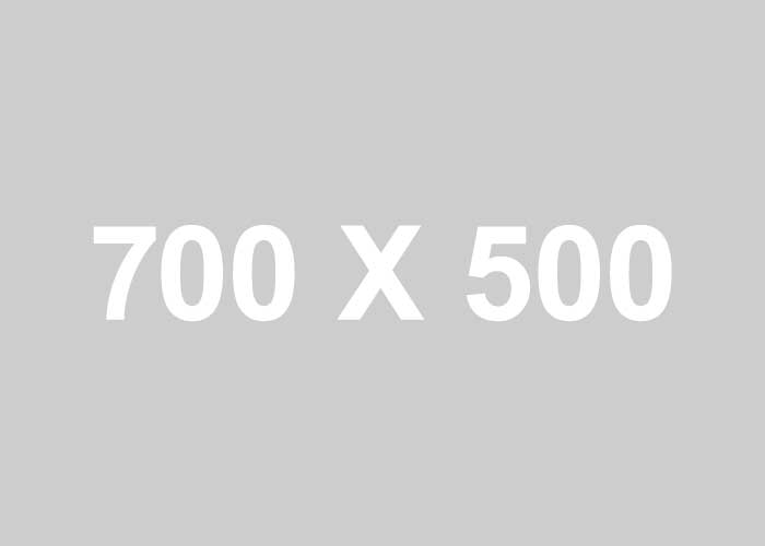 700x500.jpg