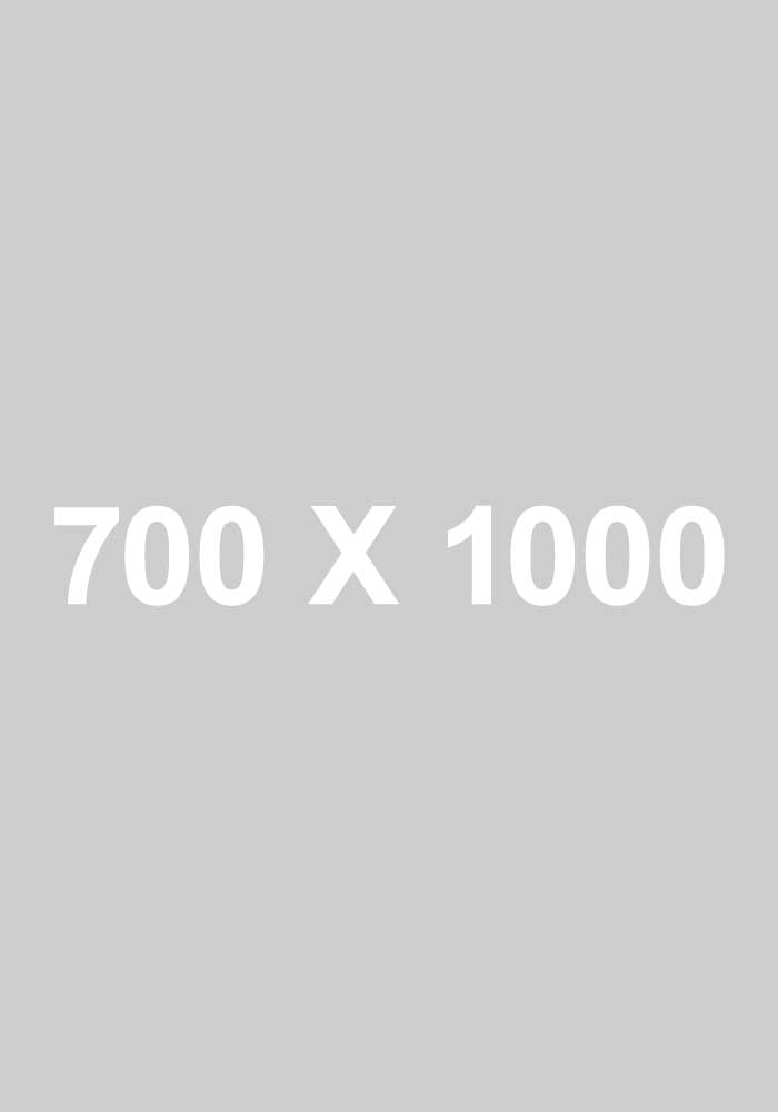 700x1000.jpg