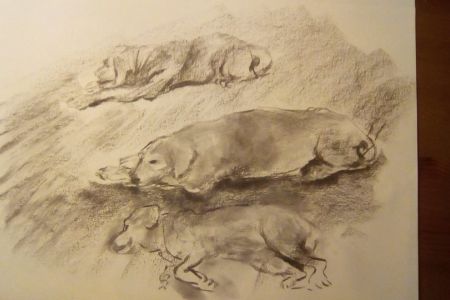 all the 3 dogs.jpg