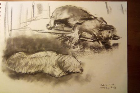 Bella and Milou .jpg
